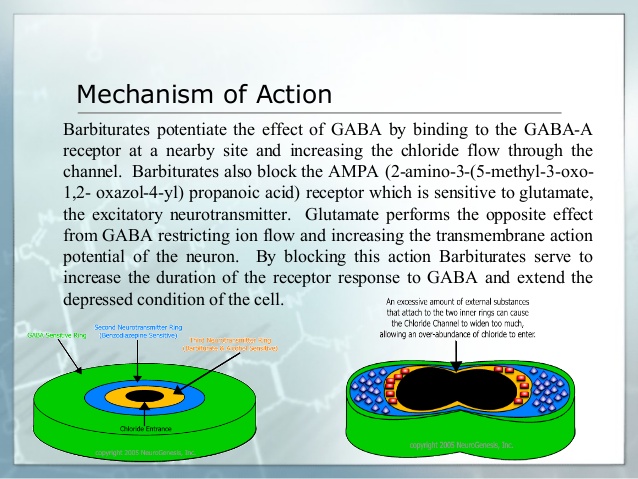 The mechanism of action of barbiturate